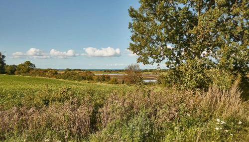 Reetdorf Geltinger Birk Atelierhaus Regenbogen - Foto 5