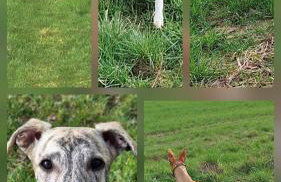 2 Zimmer Domizil am Südhang mit Terrasse und Pool - Foto 2