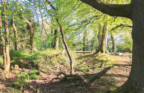 Blackberry Loft - a Hidden Gem - Foto 33