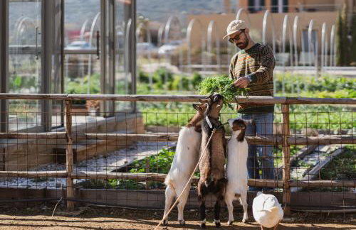 Milea Agritourism - Foto 93