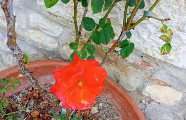 Casetta nel Podere di Massi - Foto 60