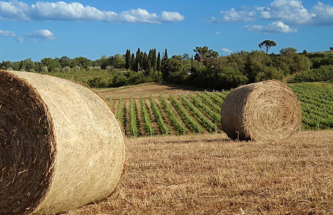Tenuta S. Agnese - Photo 38