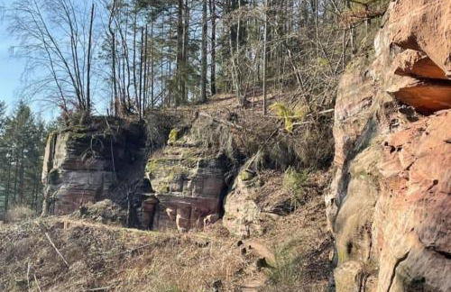 NEU! Ferienwohnung Milo Pfälzer Wald - Foto 15