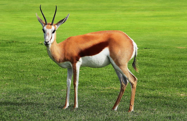 Krisjan's Lodge @ Oubaai - Photo 18