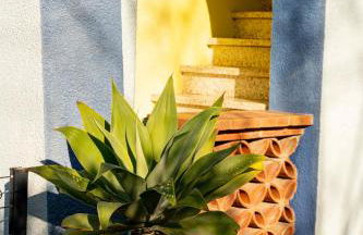 Appartement avec piscine et jacuzzi à 50mètres de la plage et 5min de l'allée des Pins - Photo 8