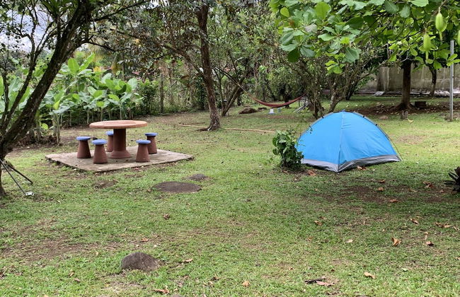 TIPS Vacation - Foto 20