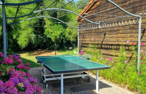 Gîte de charme avec jardin et terrasse privative à Montbrison - FR-1-496-329 - Foto 19