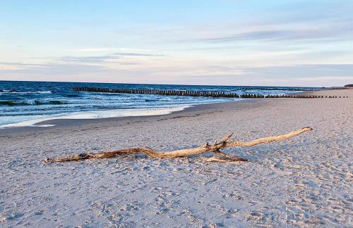 Shellter Premium Przy Wydmie - Foto 17