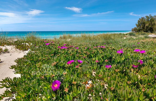 3090 Villetta Nina by Barbarhouse - Photo 19