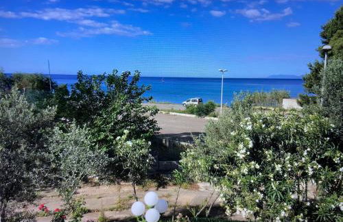 Villa Azzurra Fronte Mare - Foto 10