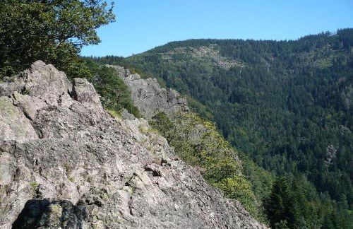 Ferienwohnung Sylvianne - Foto 23