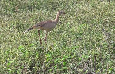 Recanto do Baru - Foto 28