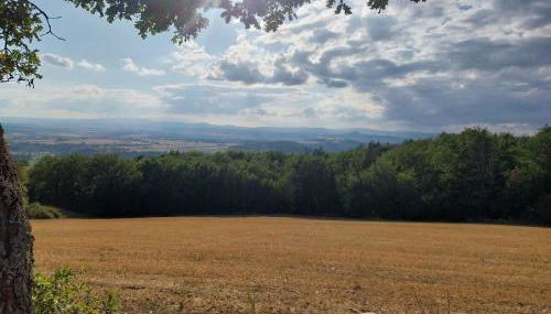 La P'tite Créole - Foto 4