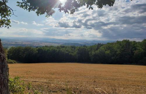 La P'tite Créole - Foto 4