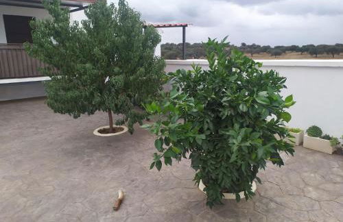 Casa rural El Candil - Foto 11