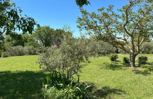 Maison avec jardin - Foto 18