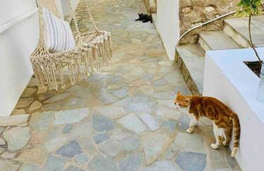 Love Limni No 1 in Peaceful Poseidonia - Photo 15
