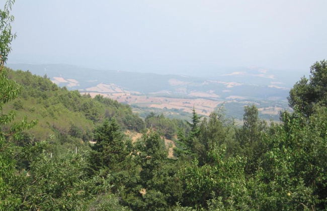 Farmhouse in Suvereto Near Etruscan Coast - Foto 30