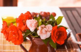 Cabaña madera en bosque 100 ECO - Foto 14