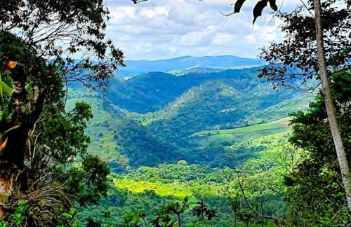 Aurora Homestead - Foto 6