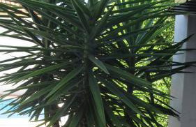 Casa de Jardim - Foto 20