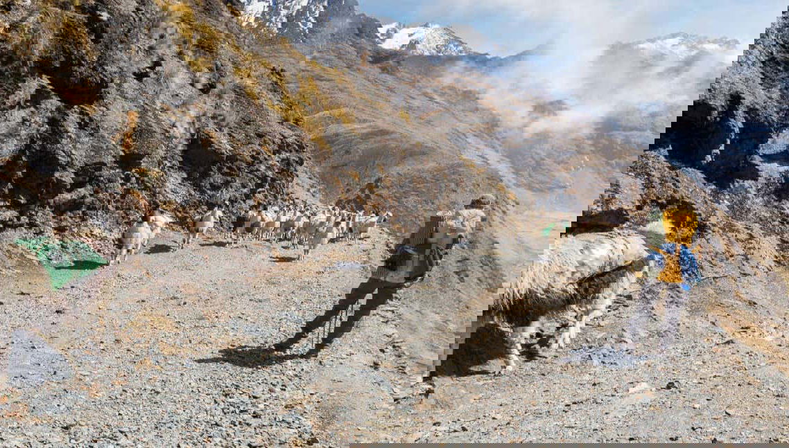 El Choro Trail 4 Day Hike - Foto 1