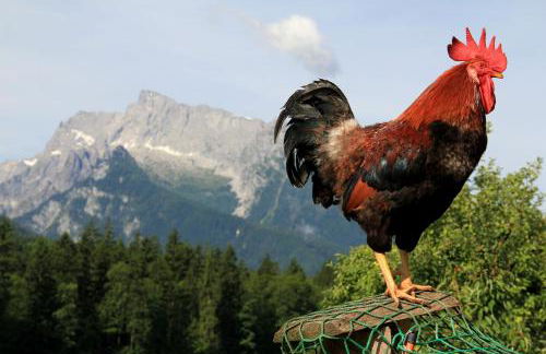 Haus Mitterstang - Foto 37