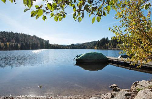 Schwarzwaldchalet Holzperle - Foto 10