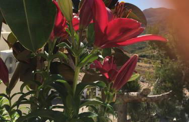 Apartamento rural Casa Medico - Photo 25