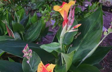 Corte dei Giorgi - Foto 17