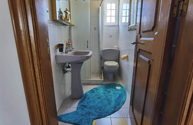 Freeman Greenlees Classical Greek - Foto 11