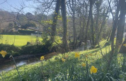 Chapel Cottage St Mawgan on the Cornish coastline - Foto 10