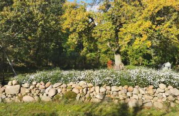 Landhaus Lange3 Moderne Kunst - Photo 20