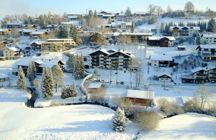 Alpensternchen - Foto 19