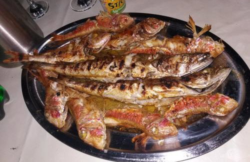 Apartments Panorama - Foto 22