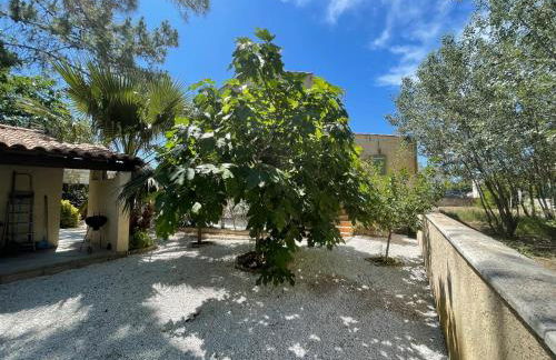 MARSEILLAN PLAGE JOLI T2 - Foto 1