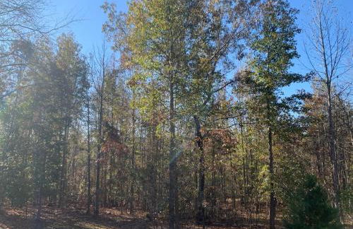 Luxury Loft Cabin 5 miles to TIEC for the Equestrian Internationl Games - Foto 46