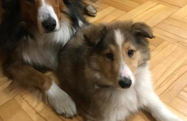 Ranczo Popowice - Foto 19