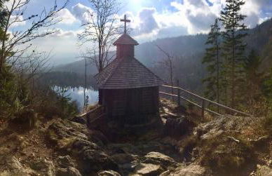 Quellenhof Kollnburg - Foto 15