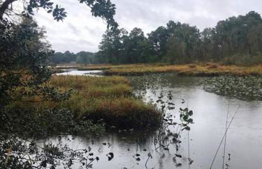 Eden Farm: Private Studio Minutes from Salisbury - Foto 17