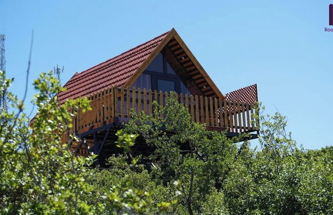 orchid huts - Photo 39