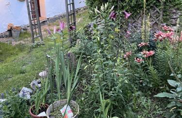 Świerkowe Ranczo Raciszewo - Foto 55