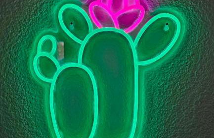 Indian Cove - Foto 24