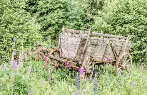Luxurious Apartment in Jägersgrün with Saunas - Foto 117