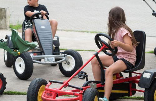 Ferienhof Henn - Foto 5