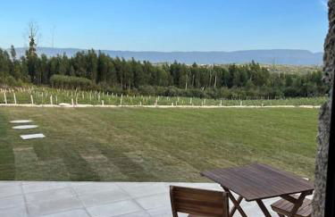 Quinta do Carregal - Foto 22