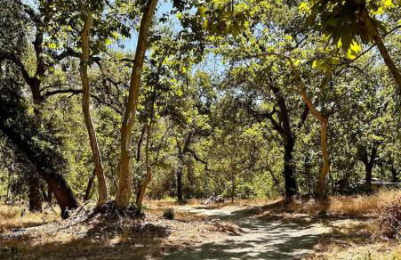 Tranquil Riverfront Studio - Foto 14