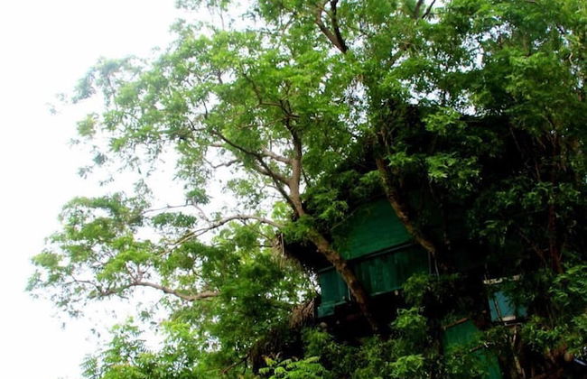 Beddegama Eco - Photo 41