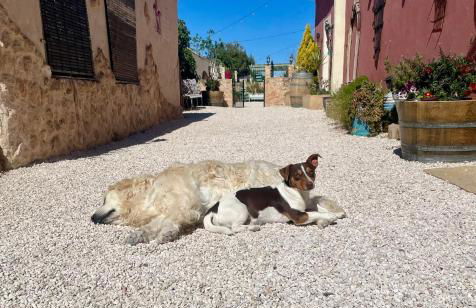 6 Bed House Sleeps 12 - Pool Hot Tub Fireplace - Foto 29