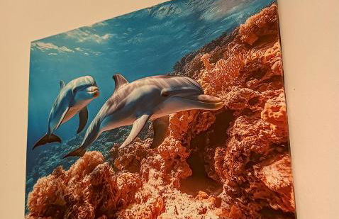 L'alcova del Mare - Foto 18